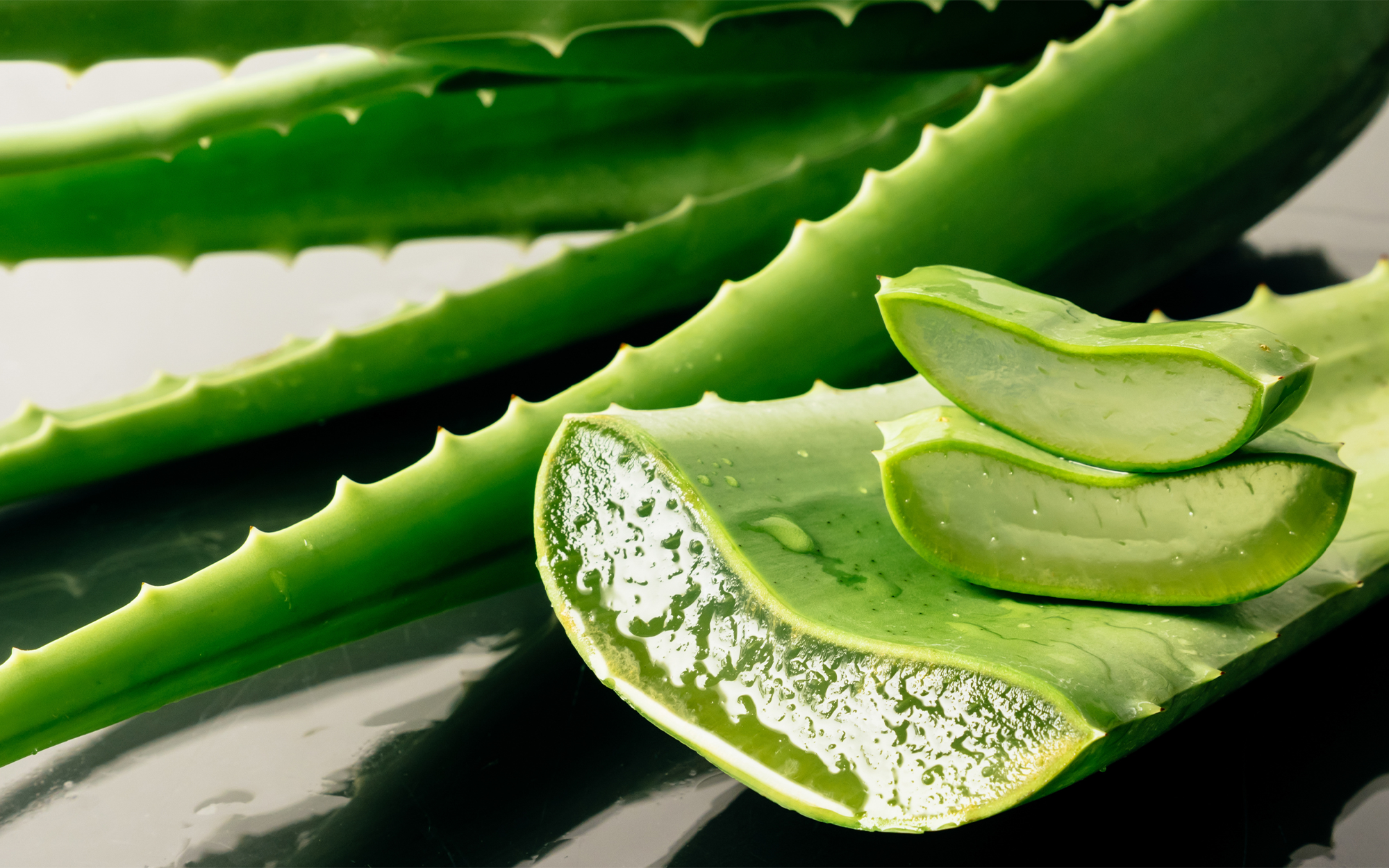 THE BENEFITS OF ALOE VERA