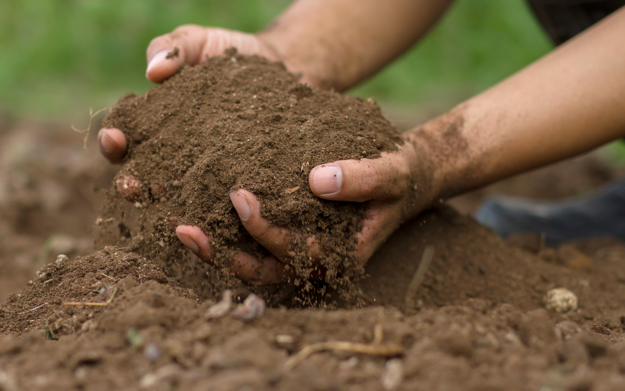 SAVE OUR SOIL